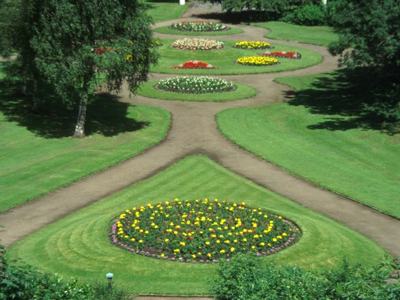 5,000 new trees for Salford this winter 5,000 new trees for Salford this winter